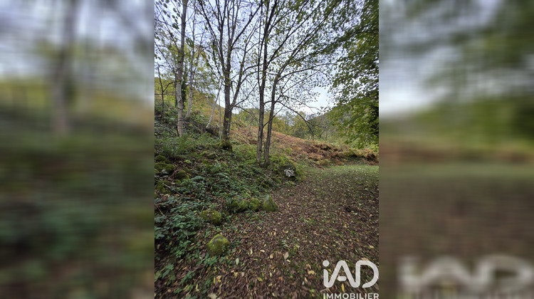 Ma-Cabane - Vente Terrain Aydius, 3915 m²