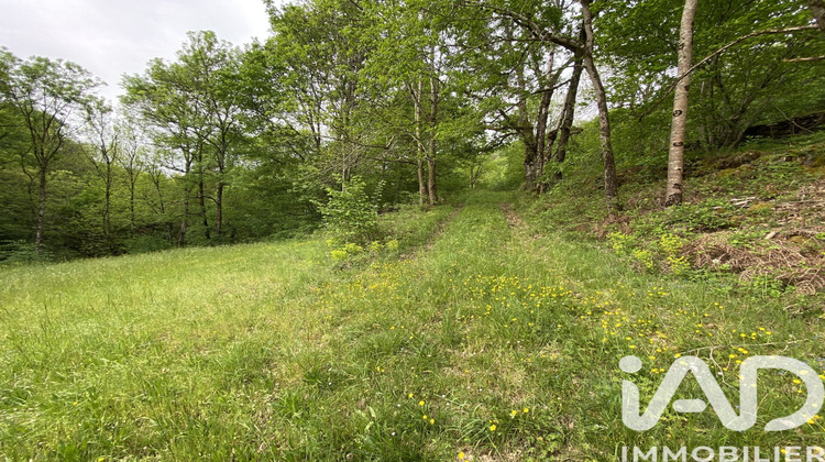 Ma-Cabane - Vente Terrain Ayssènes, 8141 m²