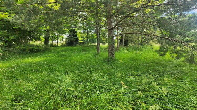 Ma-Cabane - Vente Terrain AZAY LE RIDEAU, 5800 m²