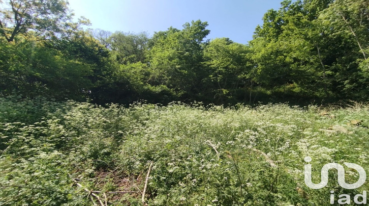 Ma-Cabane - Vente Terrain Azé, 2150 m²