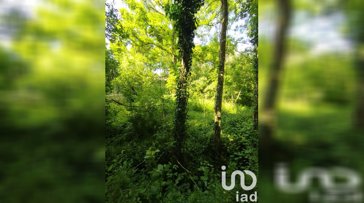 Ma-Cabane - Vente Terrain Azé, 2150 m²