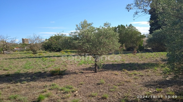 Ma-Cabane - Vente Terrain AZILLE, 2310 m²