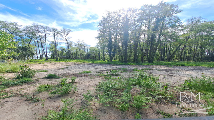 Ma-Cabane - Vente Terrain AZUR, 6590 m²