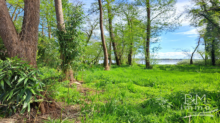 Ma-Cabane - Vente Terrain AZUR, 6590 m²