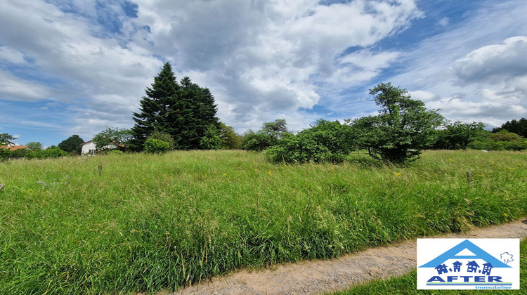 Ma-Cabane - Vente Terrain Badonviller, 2623 m²