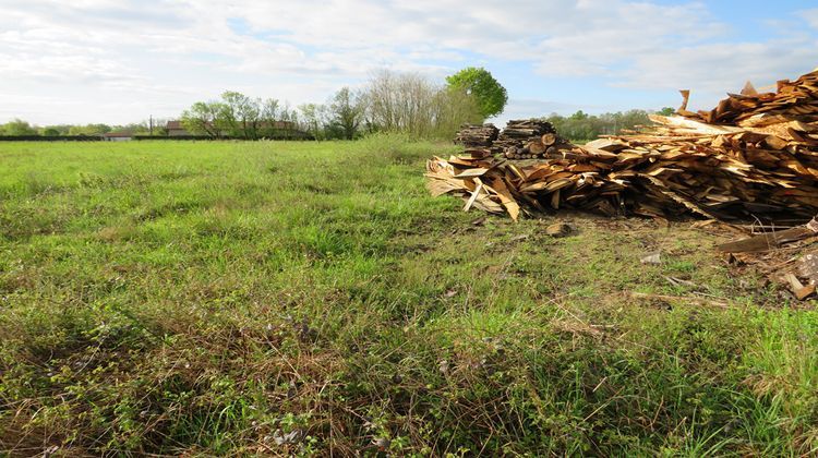 Ma-Cabane - Vente Terrain BAGE-LA-VILLE, 10510 m²