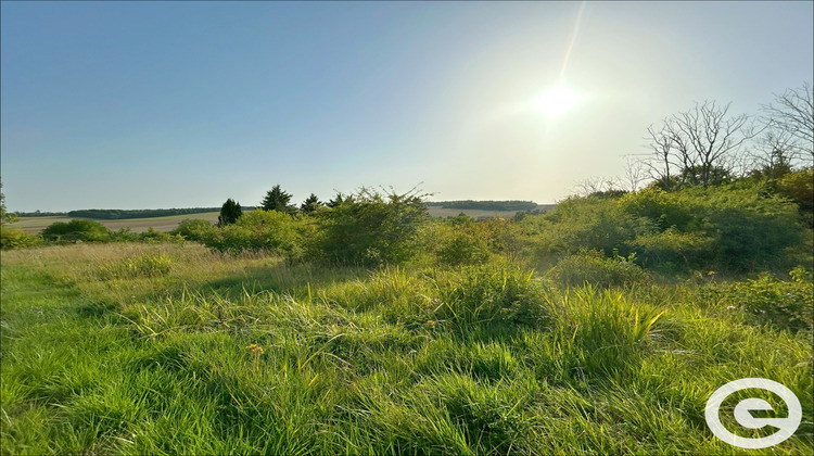 Ma-Cabane - Vente Terrain Bagneaux, 4390 m²