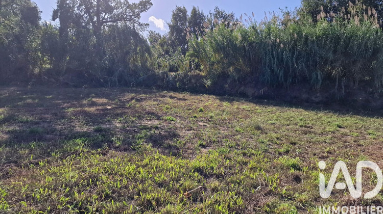 Ma-Cabane - Vente Terrain Baho, 1022 m²