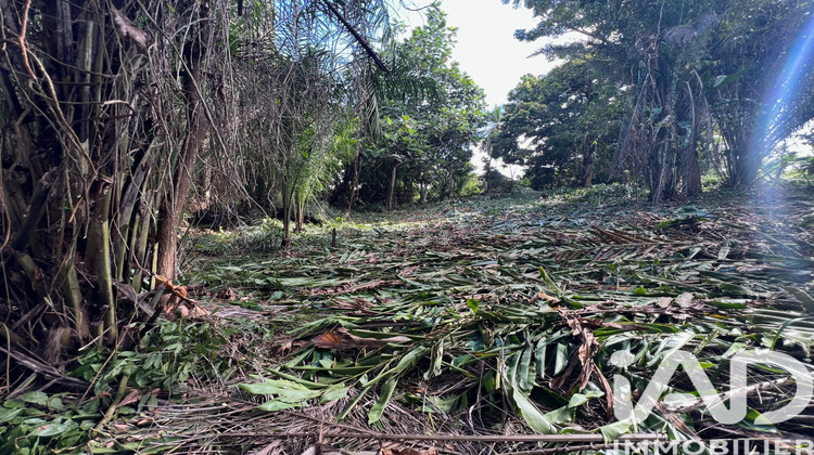 Ma-Cabane - Vente Terrain Baie-Mahault, 2007 m²