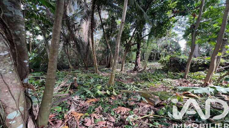 Ma-Cabane - Vente Terrain Baie-Mahault, 2007 m²