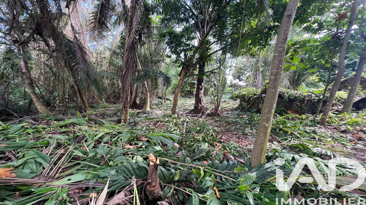 Ma-Cabane - Vente Terrain Baie-Mahault, 2007 m²