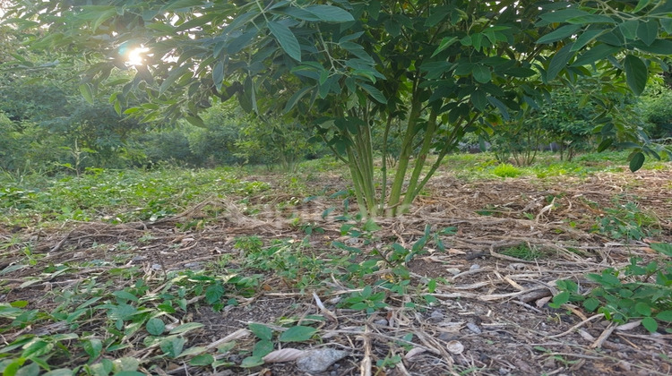 Ma-Cabane - Vente Terrain BAILLIF, 1043 m²