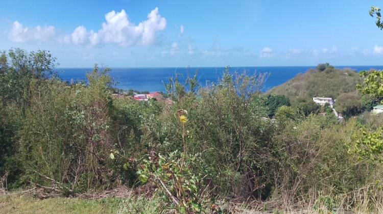 Ma-Cabane - Vente Terrain BAILLIF, 1095 m²