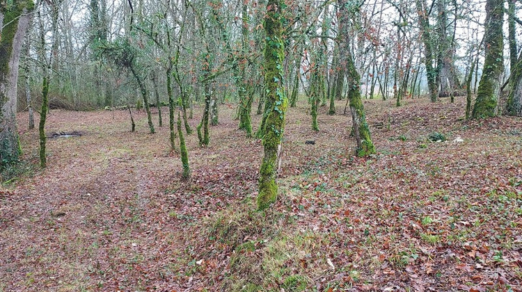 Ma-Cabane - Vente Terrain BALADOU, 1255 m²