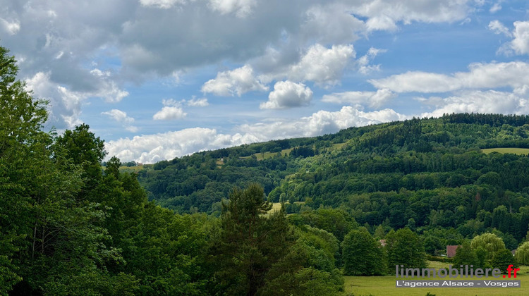 Ma-Cabane - Vente Terrain Ban-de-Laveline, 1792 m²
