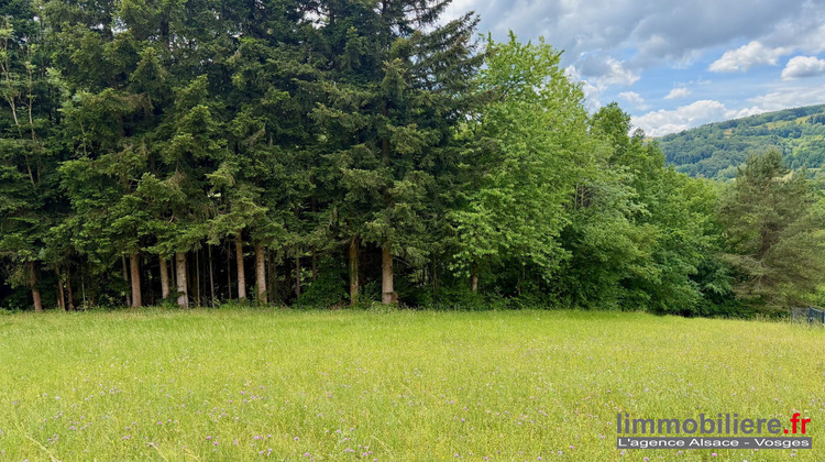 Ma-Cabane - Vente Terrain Ban-de-Laveline, 1792 m²