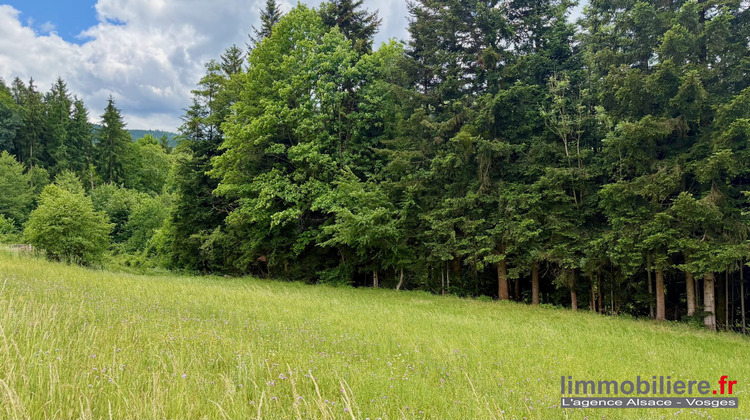Ma-Cabane - Vente Terrain Ban-de-Laveline, 1792 m²