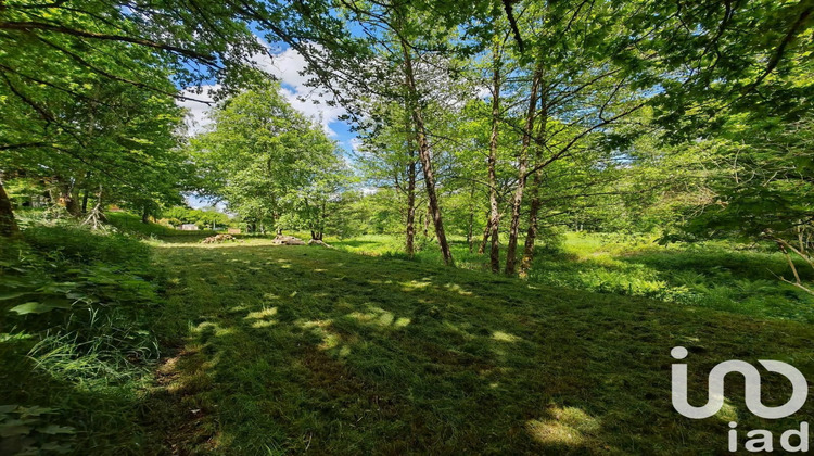 Ma-Cabane - Vente Terrain Ban-sur-Meurthe-Clefcy, 1136 m²