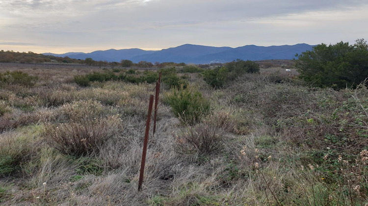 Ma-Cabane - Vente Terrain BANYULS DELS ASPRES, 4530 m²