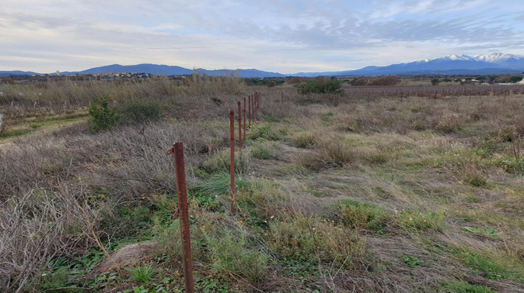 Ma-Cabane - Vente Terrain BANYULS DELS ASPRES, 4530 m²