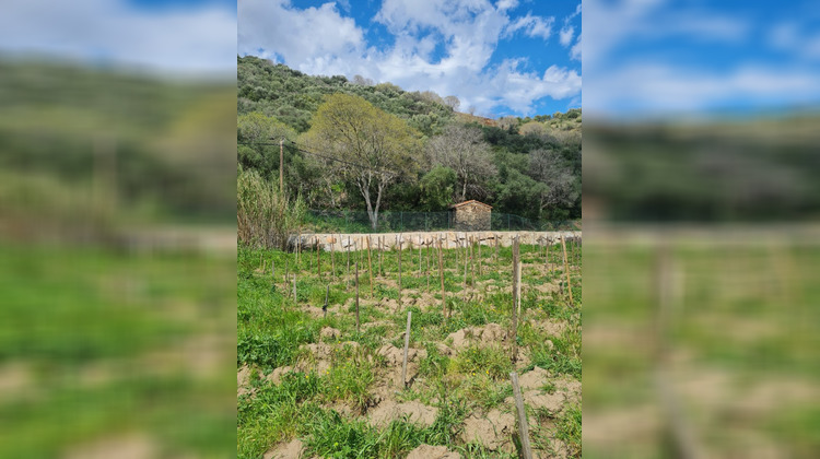 Ma-Cabane - Vente Terrain Banyuls-sur-Mer, 3982 m²