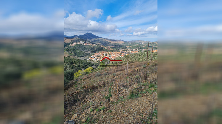 Ma-Cabane - Vente Terrain Banyuls-sur-Mer, 8975 m²
