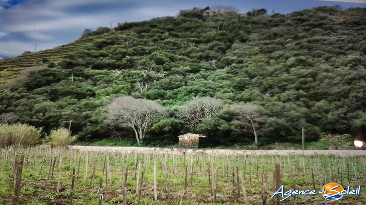 Ma-Cabane - Vente Terrain Banyuls-sur-Mer, 4000 m²