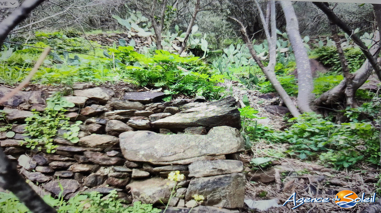 Ma-Cabane - Vente Terrain Banyuls-sur-Mer, 4000 m²