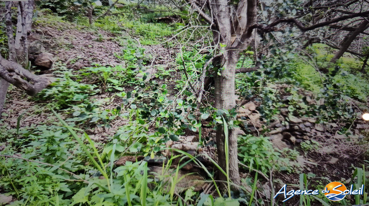 Ma-Cabane - Vente Terrain Banyuls-sur-Mer, 4000 m²