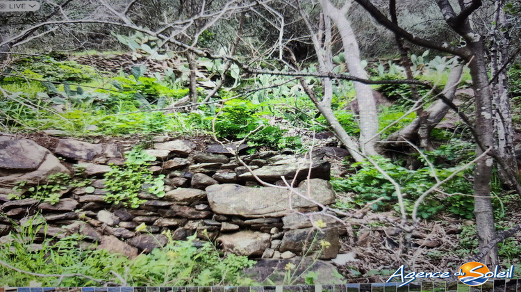 Ma-Cabane - Vente Terrain Banyuls-sur-Mer, 4000 m²