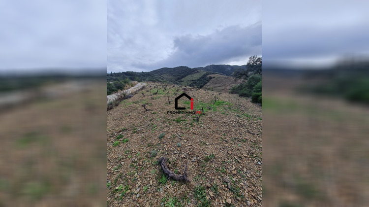 Ma-Cabane - Vente Terrain Banyuls-sur-Mer, 9840 m²