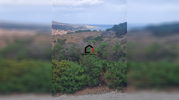 Ma-Cabane - Vente Terrain Banyuls-sur-Mer, 9840 m²