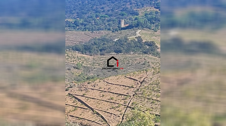 Ma-Cabane - Vente Terrain Banyuls-sur-Mer, 9840 m²