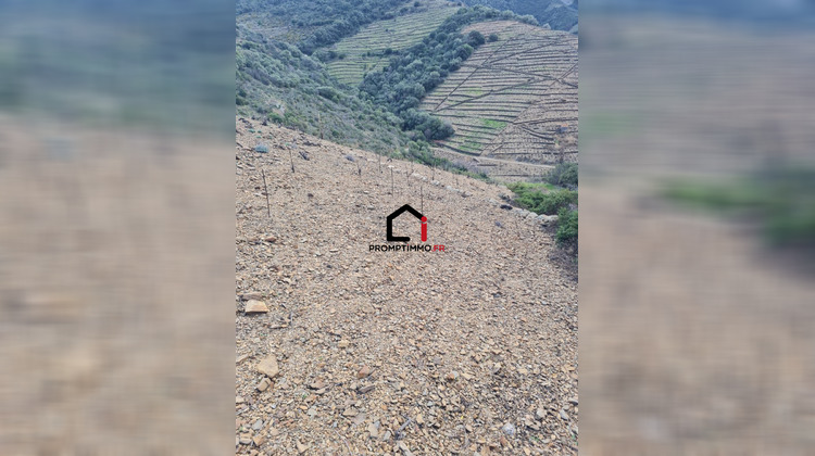 Ma-Cabane - Vente Terrain Banyuls-sur-Mer, 9840 m²