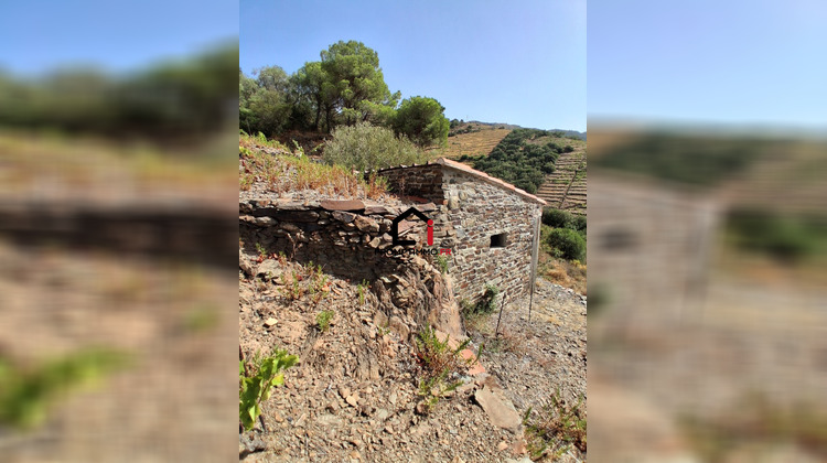 Ma-Cabane - Vente Terrain Banyuls-sur-Mer, 7859 m²