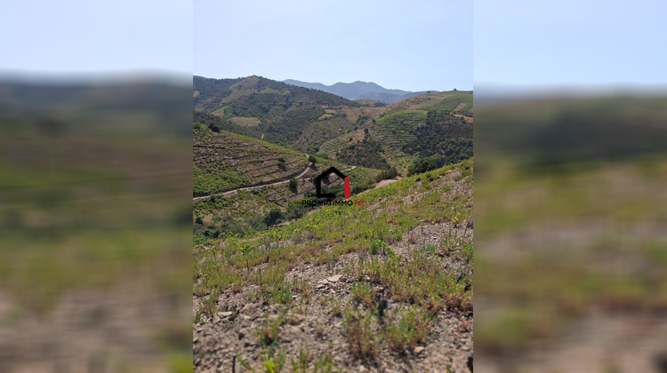 Ma-Cabane - Vente Terrain Banyuls-sur-Mer, 7859 m²