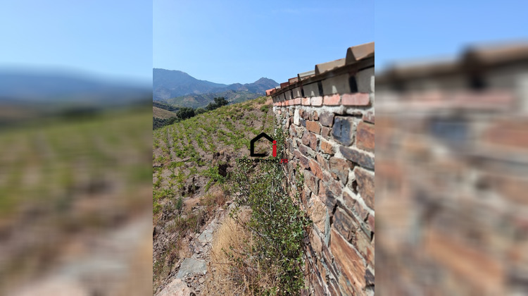 Ma-Cabane - Vente Terrain Banyuls-sur-Mer, 7859 m²