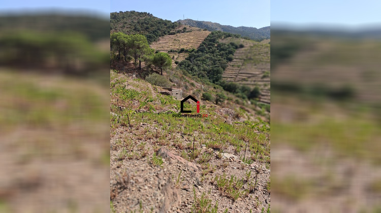 Ma-Cabane - Vente Terrain Banyuls-sur-Mer, 7859 m²