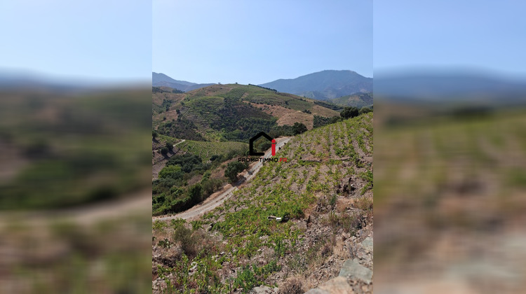 Ma-Cabane - Vente Terrain Banyuls-sur-Mer, 7859 m²