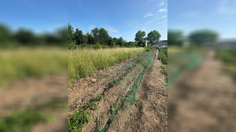 Ma-Cabane - Vente Terrain BAPAUME, 671 m²