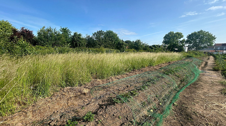 Ma-Cabane - Vente Terrain BAPAUME, 671 m²