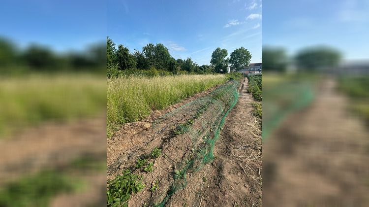 Ma-Cabane - Vente Terrain BAPAUME, 671 m²