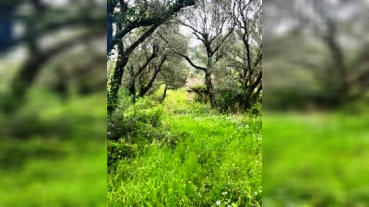 Ma-Cabane - Vente Terrain Barbaggio, 4319 m²