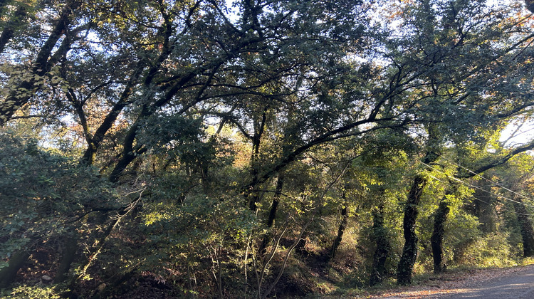Ma-Cabane - Vente Terrain Bargemon, 1870 m²