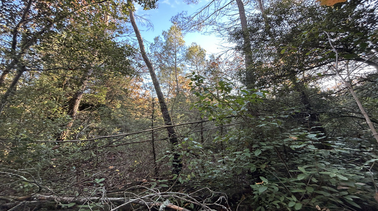 Ma-Cabane - Vente Terrain Bargemon, 1870 m²