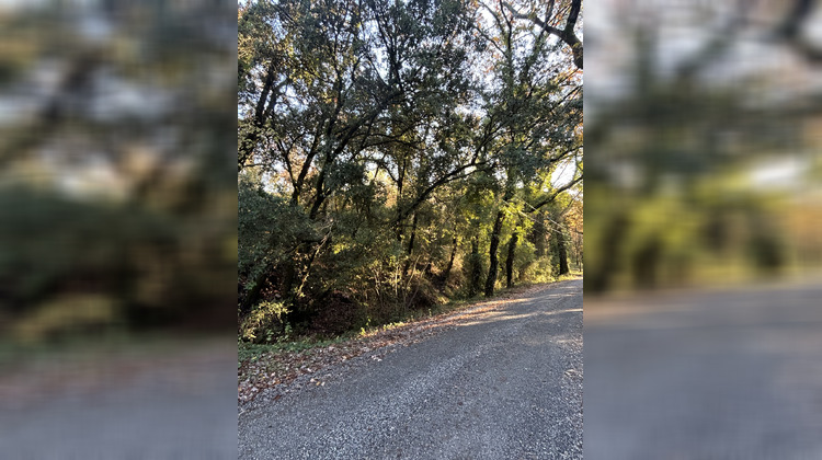 Ma-Cabane - Vente Terrain Bargemon, 1870 m²