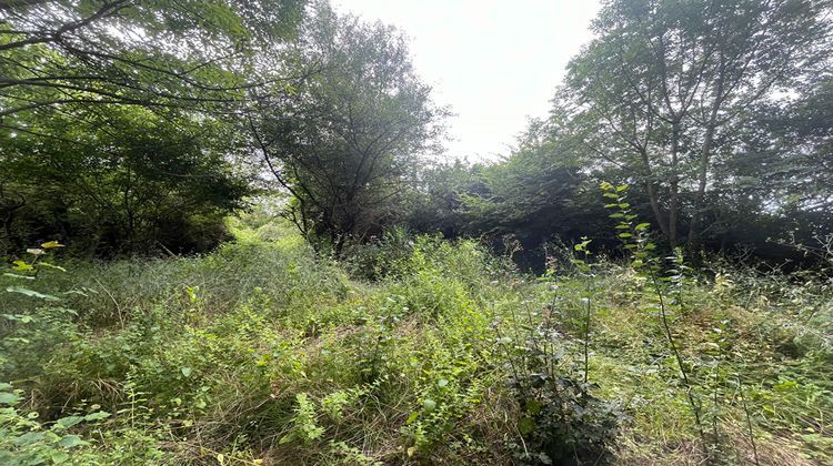 Ma-Cabane - Vente Terrain BARLIEU, 1155 m²