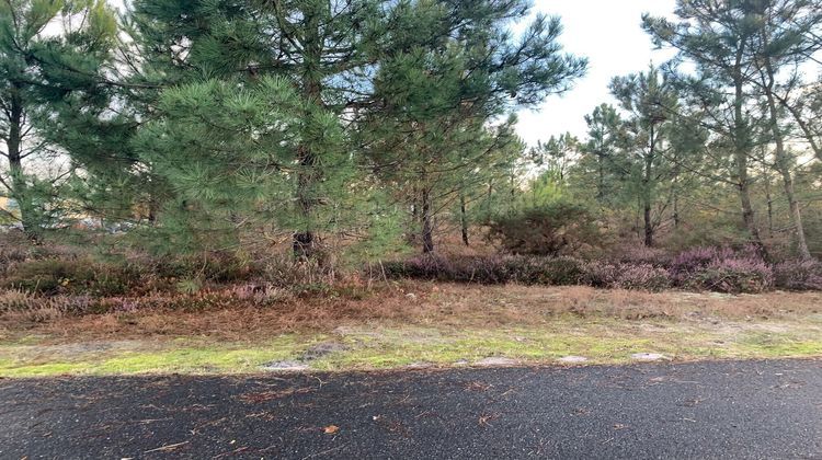 Ma-Cabane - Vente Terrain Bas-Mauco, 1284 m²