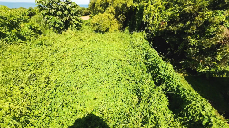 Ma-Cabane - Vente Terrain Basse-Pointe, 970 m²