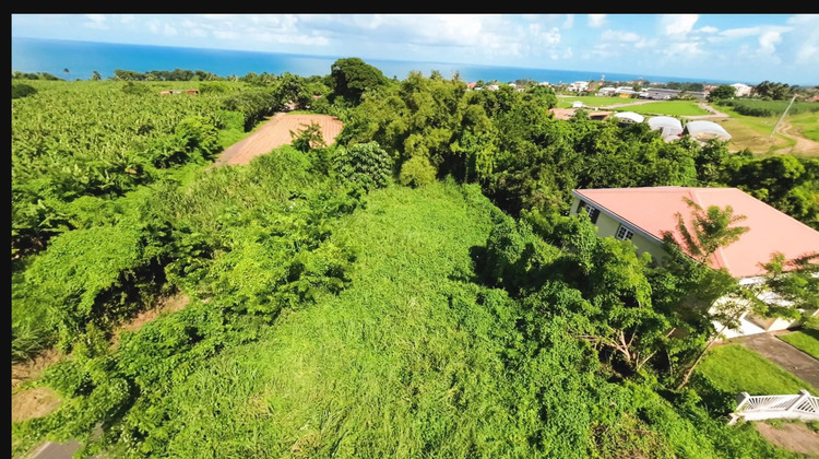 Ma-Cabane - Vente Terrain Basse-Pointe, 970 m²